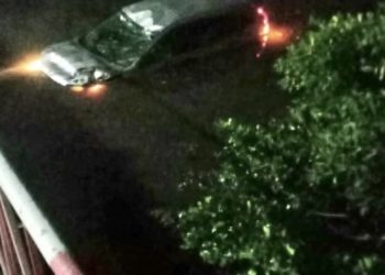 Un conductor pierde el control del vehículo y aterriza en Fresh Pond