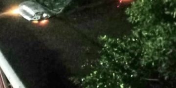 Un conductor pierde el control del vehículo y aterriza en Fresh Pond