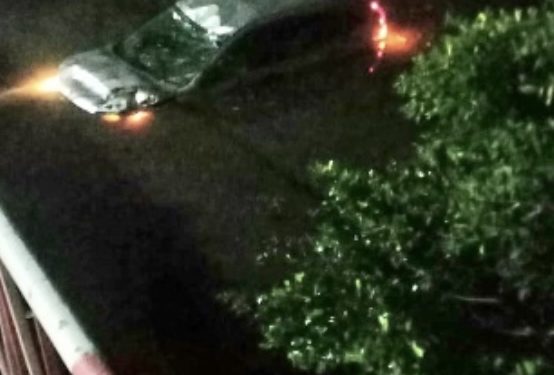 Un conductor pierde el control del vehículo y aterriza en Fresh Pond