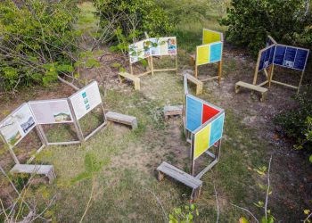 Nuevas exhibiciones de poesía local presentan traducciones al francés