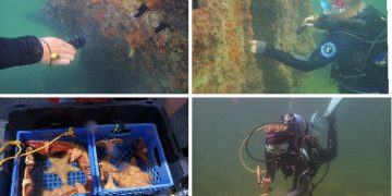 St.  Maarten Nature Foundation completa la asistencia a los proyectos de eliminación de naufragios de NRPB