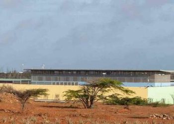 Introducir artículos prohibidos en el JICN sancionado por la ley