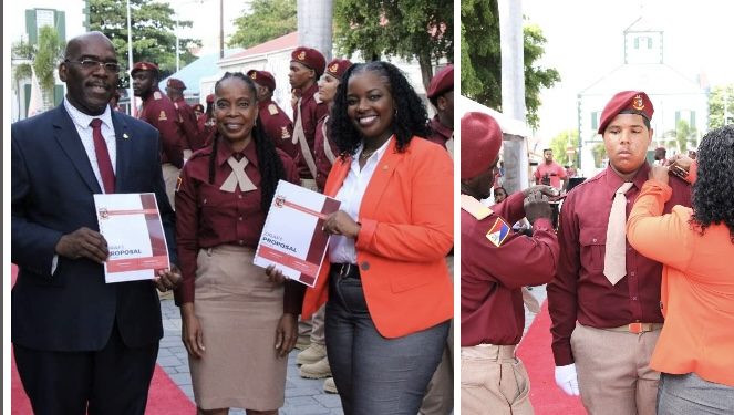Island Gems arregla los rieles de la cabaña de observación de aves de Little Bay Pond