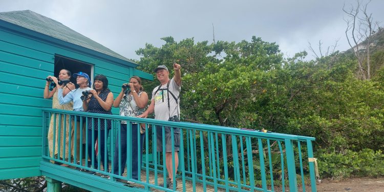 Island Gems arregla los rieles de la cabaña de observación de aves de Little Bay Pond