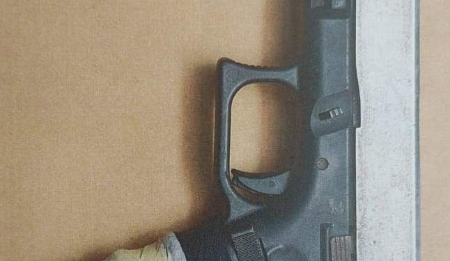 Arma de fuego confiscada en incidente de violencia doméstica