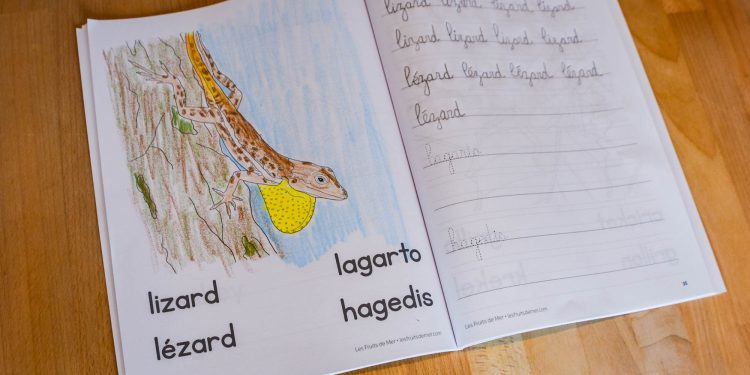 ¡El nuevo libro para colorear se lanza con un sorteo gratis este sábado!