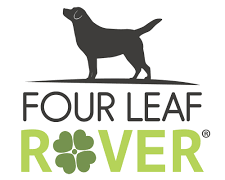 Campaña de esterilización y castración gratis en la Clínica Veterinaria Sint Maarten en Cay Hill