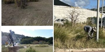 MP Wescot: “Cómo cuidamos a los nuestros”, dice mucho sobre quiénes somos.