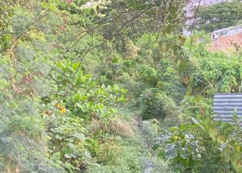 Chris: ¿El Ministro de VROMI está esperando la pérdida de vidas para limpiar las trincheras del distrito?