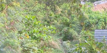 Chris: ¿El Ministro de VROMI está esperando la pérdida de vidas para limpiar las trincheras del distrito?