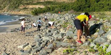 4995.95 KG de residuos recogidos por la Fundación Naturaleza desde el inicio del Proyecto In-No-Plastic.