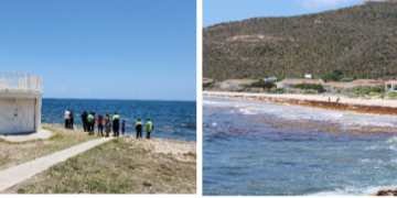 Misteriosas muertes se desarrollan en la playa de Guana-Bay: investigación en curso