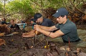 Ministro de Clima y Energía visita manglares en Bonaire con DCNA y Mangrove Maniacs