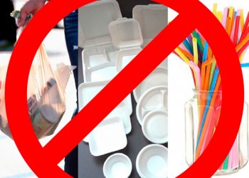 Prohibición de plástico de un solo uso para comenzar con control fronterizo