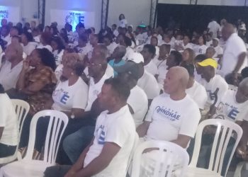 National Alliance introduces interim board and candidates during congress