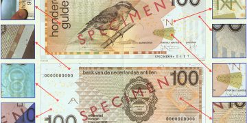 Están circulando billetes falsos de 50 y 100 NAF.