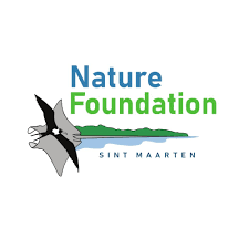 Aclaración sobre la participación de Nature Foundation en Underwater Museum