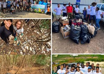 Cantidades alarmantes de plásticos de un solo uso recogidos durante la ICC 2023