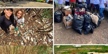 Cantidades alarmantes de plásticos de un solo uso recogidos durante la ICC 2023