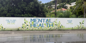 Las inversiones en el sector de salud mental mejorarán el acceso y la prestación de servicios