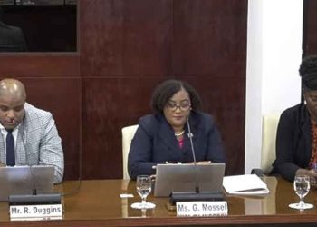 Los Notarios frenan la firma de escrituras de terrenos en arrendamiento a largo plazo