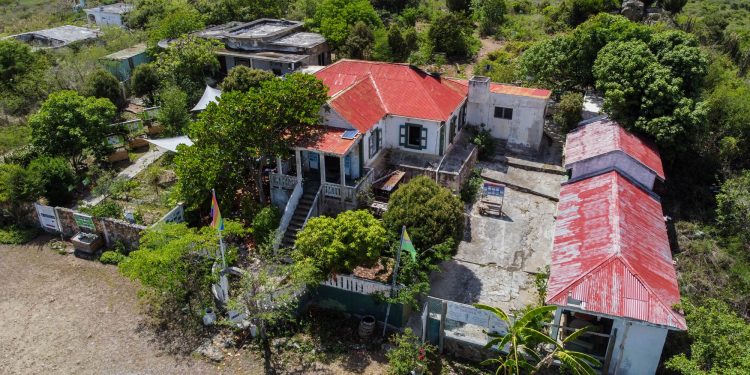Festival de Aves Migratorias en el Amuseum Naturalis de 9:00am hasta el mediodía del sábado 14 de octubre