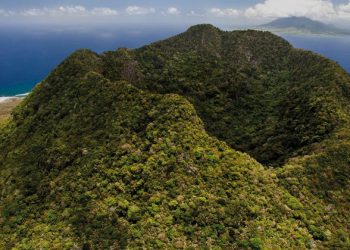 Autoridades esperan informe sobre población de abejas en el Quill