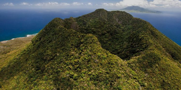 Autoridades esperan informe sobre población de abejas en el Quill