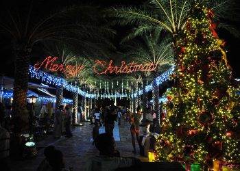 La Navidad llegará el domingo 3 a WPS. Están invitados a la 8va Encendida Anual del Árbol
