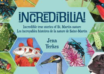 ¡Se lanza un nuevo libro de actividades con sorteo gratuito este sábado!