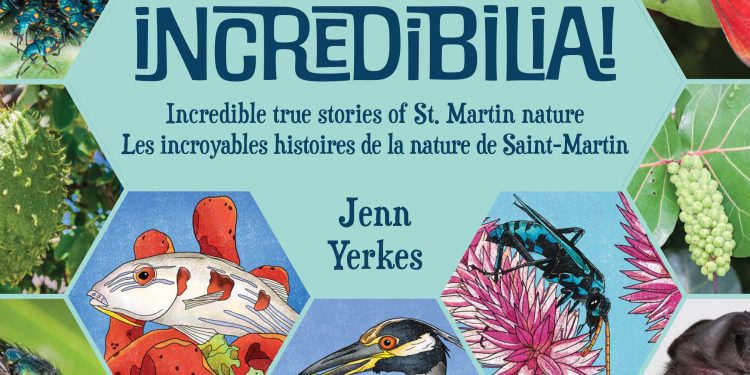 ¡Se lanza un nuevo libro de actividades con sorteo gratuito este sábado!