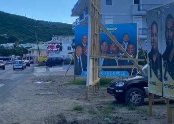 USP: National Alliance carece de visión, empatía y cortesía común para liderar