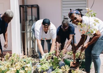 SXM DOET organizará una serie de talleres gratuitos