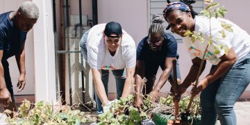 SXM DOET organizará una serie de talleres gratuitos