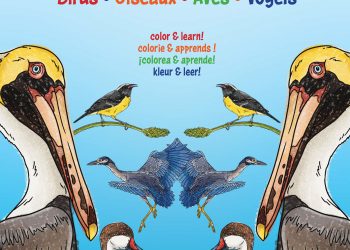 ¡Lanzamiento y sorteo gratuito de dos nuevos libros sobre aves este sábado!