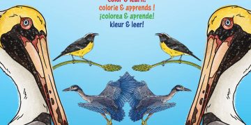 ¡Lanzamiento y sorteo gratuito de dos nuevos libros sobre aves este sábado!