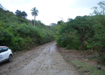 Guava berry Road, St. Peters comienza la operación de obras viales como parte del proyecto de caminos laterales
