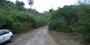 Guava berry Road, St. Peters comienza la operación de obras viales como parte del proyecto de caminos laterales