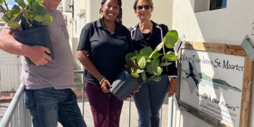 La Presidenta del Parlamento, Sarah A. Wescot-Williams, celebra el Día Nacional de los Árboles de St. Maarten compartiendo árboles de uva de mar locales con dos organizaciones