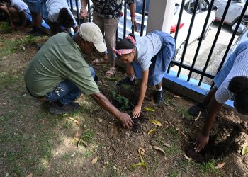 Hillside Christian Schools celebra el “Día de Plantar un Árbol” con Nature Foundation