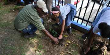 Hillside Christian Schools celebra el “Día de Plantar un Árbol” con Nature Foundation