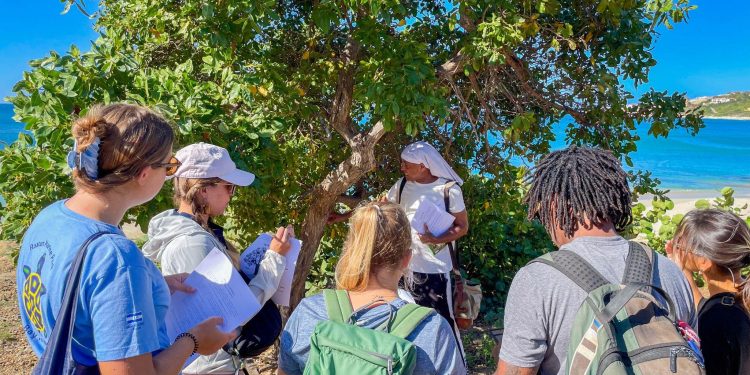 Trabajo de campo y capacitación completados para la evaluación de la biodiversidad terrestre de Sint Maarten