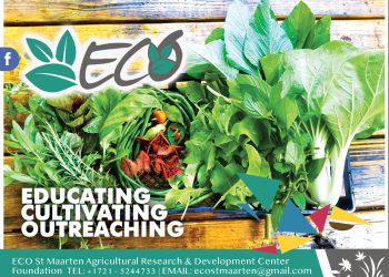 ¡Levántate y ponte de pie con R4CR!