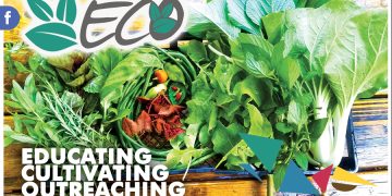 ¡Levántate y ponte de pie con R4CR!