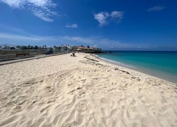 Primer nido de tortugas marinas confirmado de la temporada 2024 depositado en Maho Beach