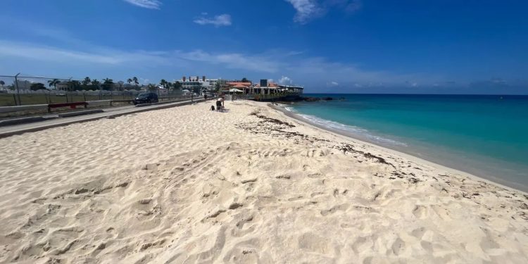 Primer nido de tortugas marinas confirmado de la temporada 2024 depositado en Maho Beach