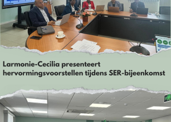 El futuro de la seguridad social en el punto de mira: Larmonie-Cecilia presenta propuestas de reforma en la reunión de la SER