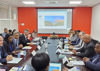 Discusión estratégica sobre el futuro del Seguro Social de Salud (SZV)