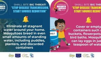 ¡Pequeña picadura, gran amenaza! Detener la transmisión de enfermedades, iniciar la reducción de fuentes