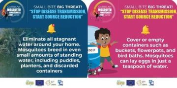 ¡Pequeña picadura, gran amenaza! Detener la transmisión de enfermedades, iniciar la reducción de fuentes